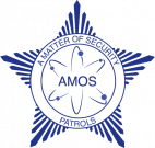 A Matter Of Security logo