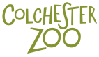 Colchester Zoo