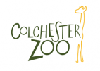 Colchester Zoo