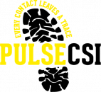 Pulse CSI (Pulse Education and Business Services Limited)