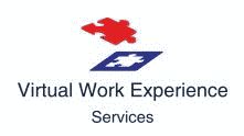 Virtual Work Experience Services